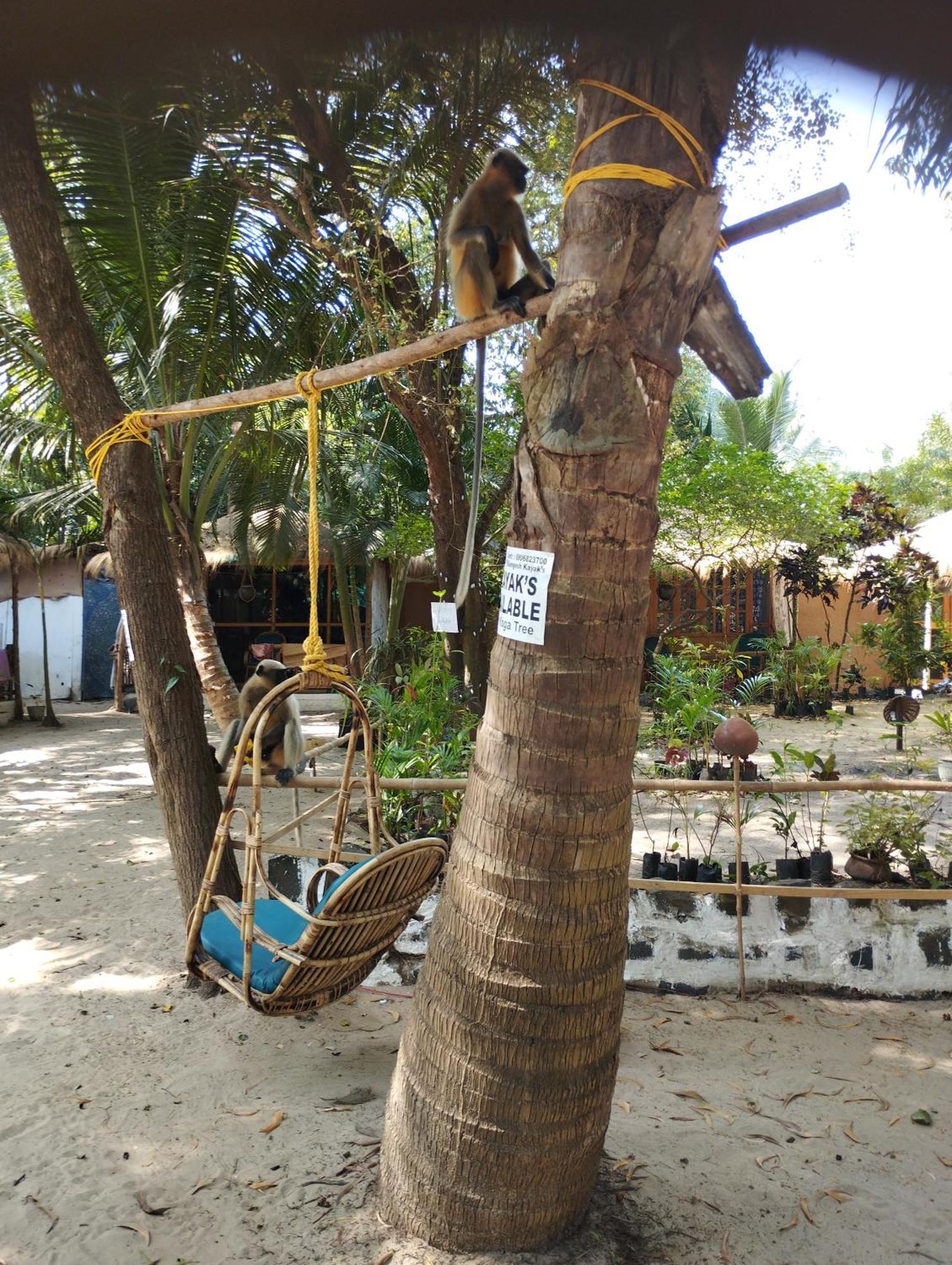 Ruban Yoga Palolem Exterior foto
