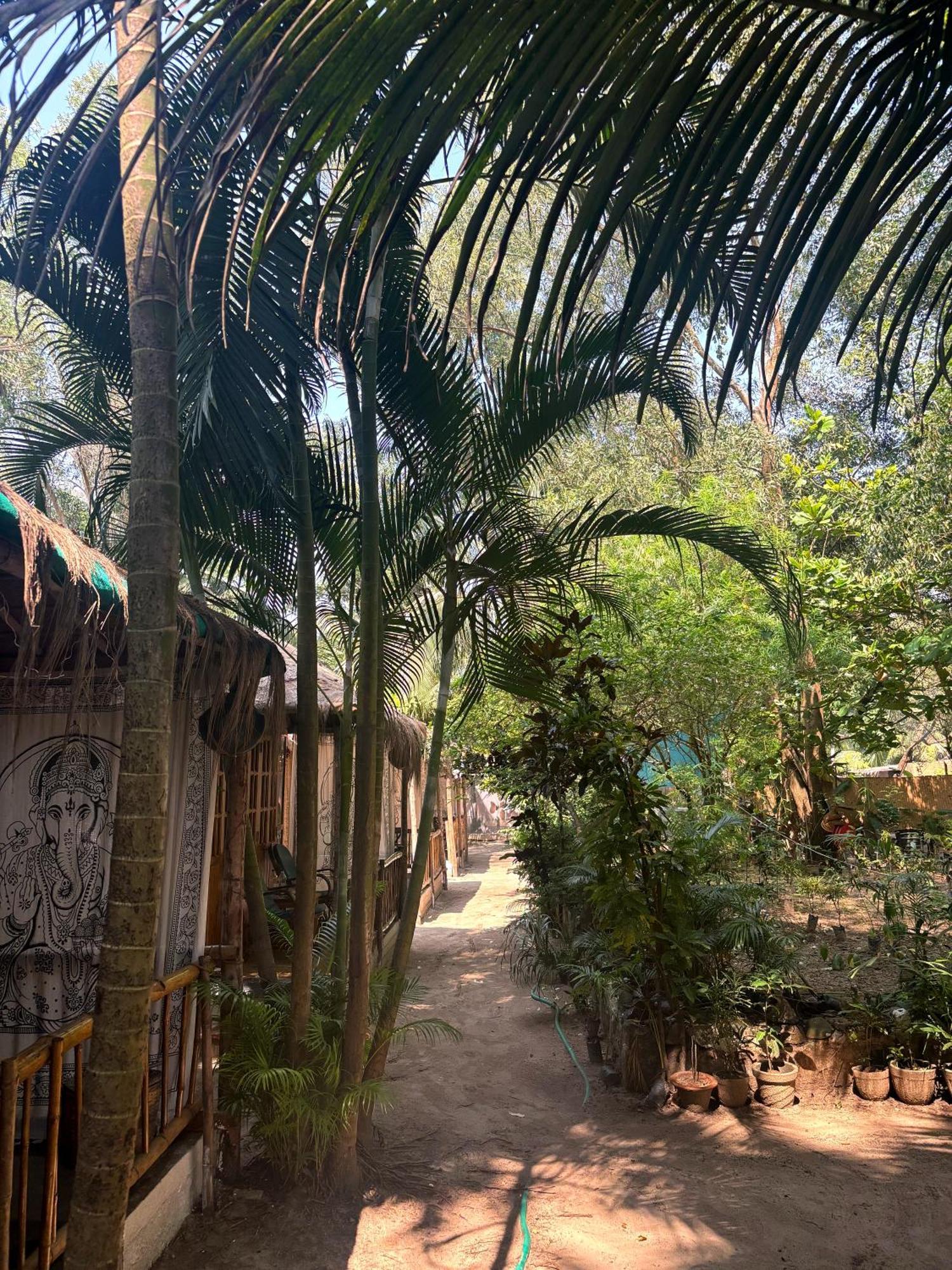 Ruban Yoga Palolem Exterior foto