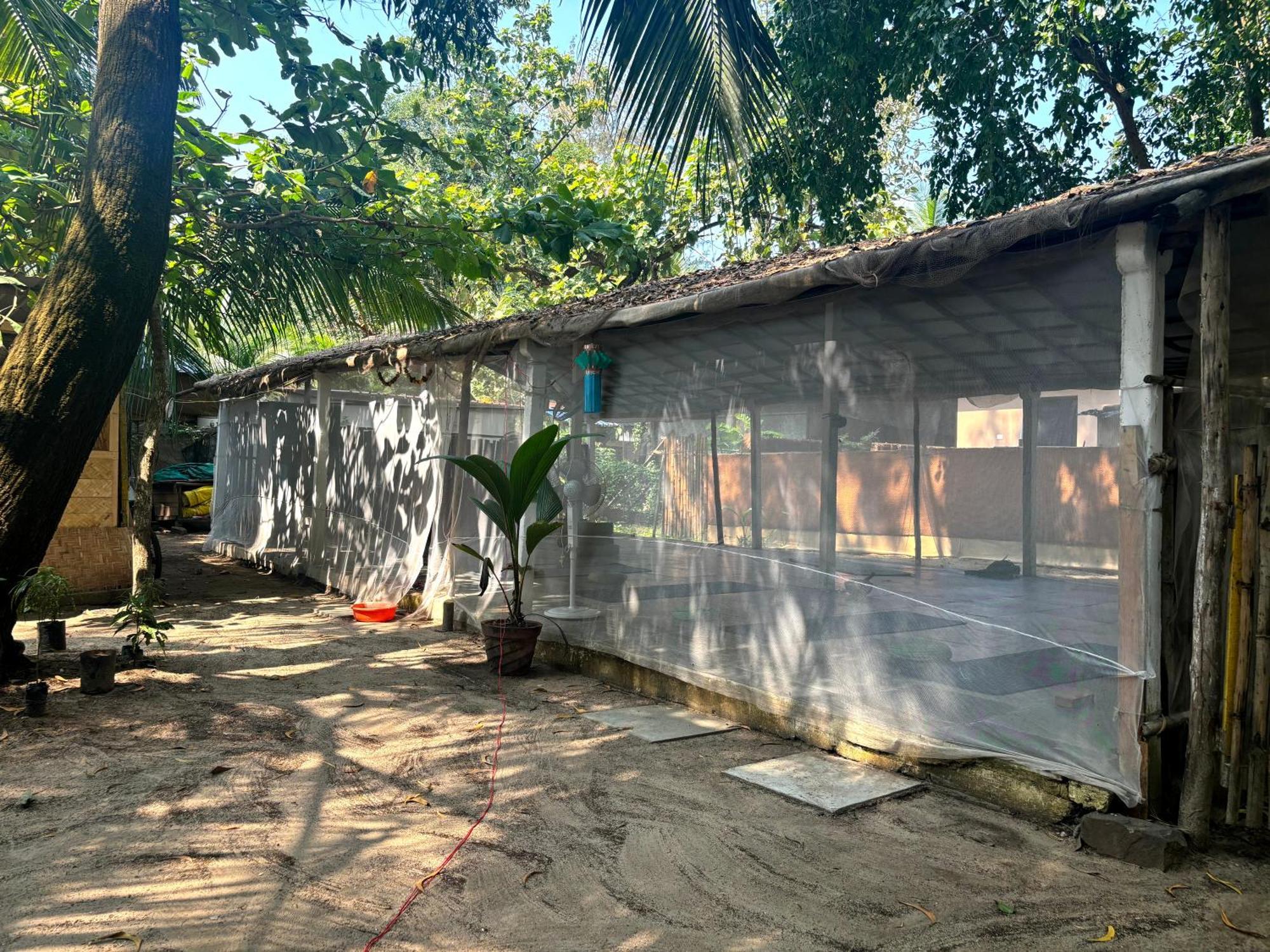 Ruban Yoga Palolem Exterior foto